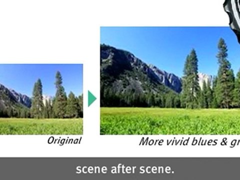 Canon EOS Rebel T2i 18 MP CMOS APS-C Digital SLR Camera with 3.0-Inch LCD