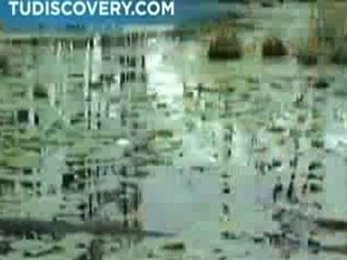 Bajo el Triángulo de las Bermudas (Parte 4 de 7)