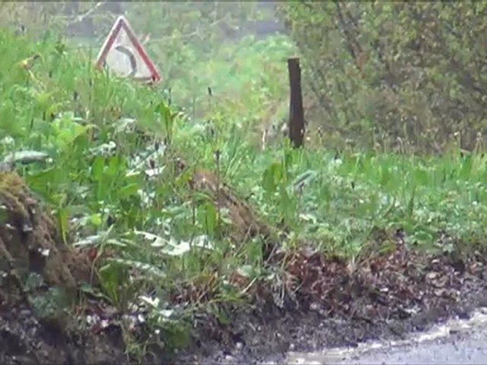 RALLYE DE LA SUISSE NORMANDE 2012