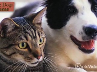 Meadowbrook Lake Apartments in Stow, OH - ForRent.com