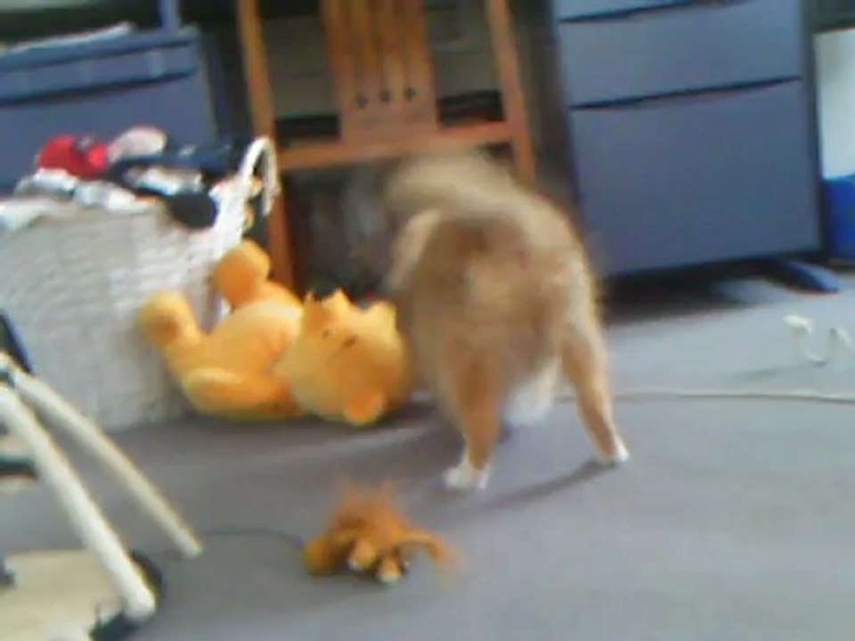 HERA VS ADESE