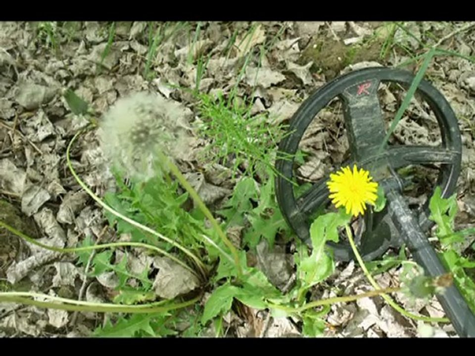 sortie déus et de l'or