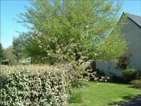 C.C.Immobilier_St Efflam, 22310, (1643-MLM), achat, vente, Maison, immobilier, Côte, Granit Rose , Armor, Trégor, Bretagne