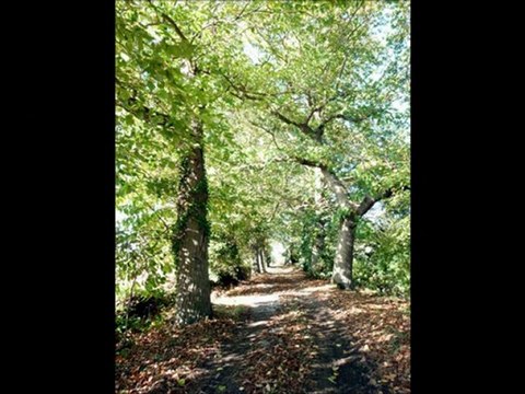 C.C.Immobilier_Plestin-Les-Grèves, 22310, (1623-MLM), achat, vente, Maison, immobilier, Côte, Granit Rose , Armor, Trégor, Bretagne