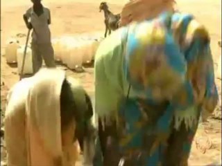 أحوال النازحين في معسكر أبو شوك بشمال دارفور