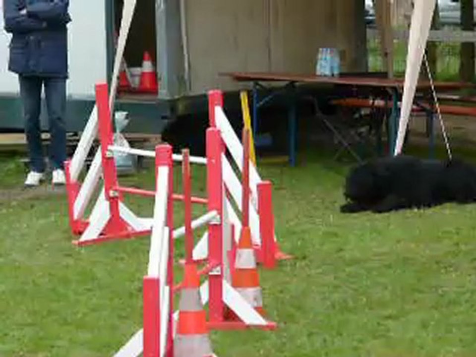 2eme concours d agility