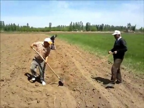 KARABADIMCANCILAR NİYAZİ ARAS İZZET GÜREL NURETTİN KOCAR