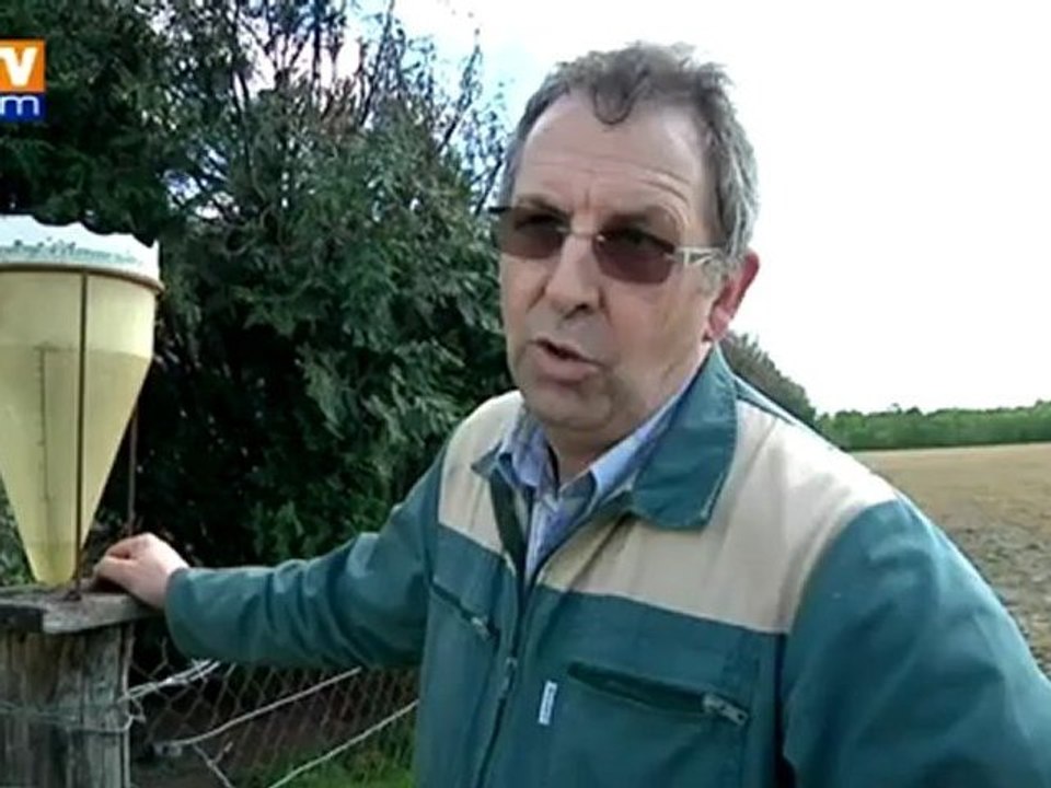 Les agriculteurs rassurés par les chutes de pluie abondante