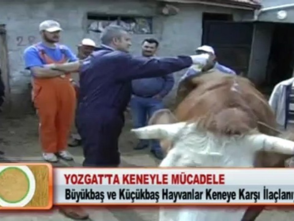 YOZGAT’TA KENEYLE MÜCADELE 04 05 2012