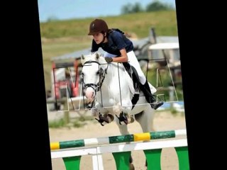 L'équipe CSO Poney du centre equestre du rouget