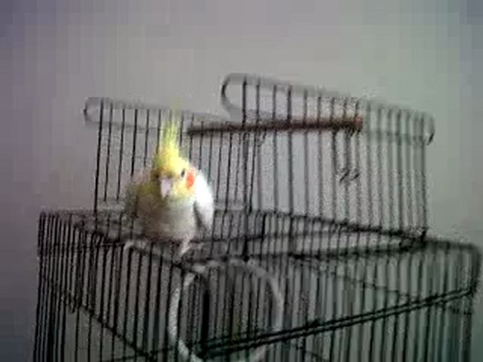 cikLet'in keyfi yerinde =)