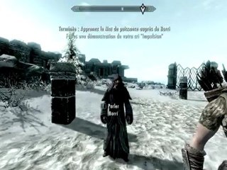 10) The Elder Scrolls V : Skyrim (PC) - Les Grises Barbes