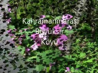 Kahramanmaraş/Büyüksır Köyü