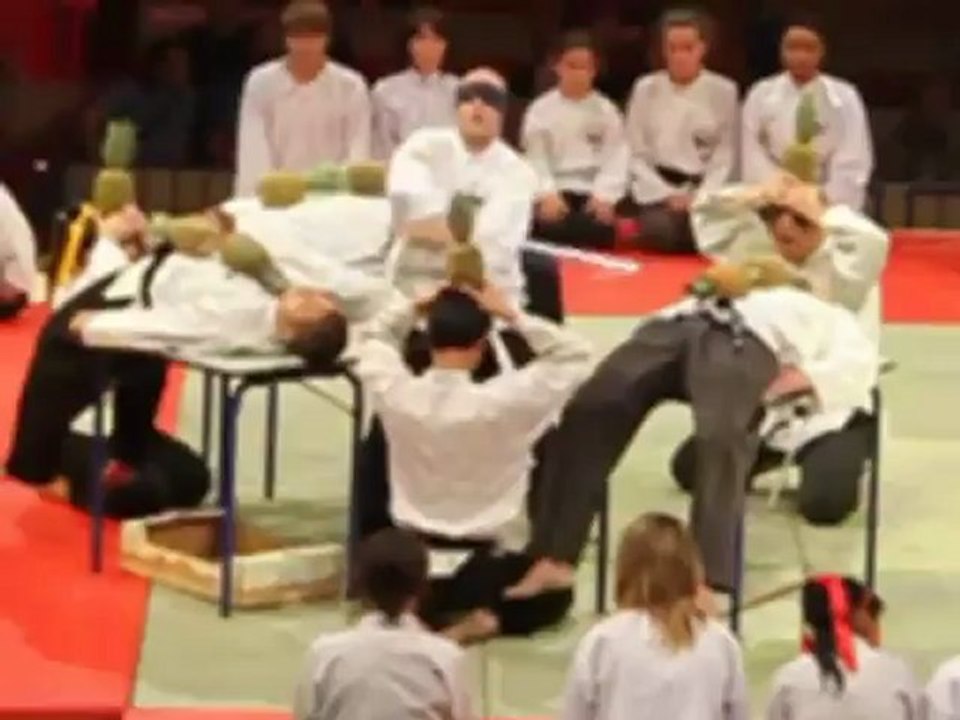 Viet Vu Dao master arts martiaux 2012.flv