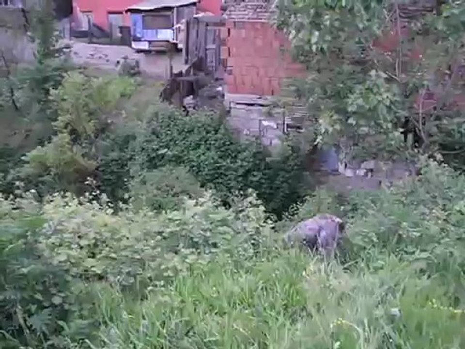 DSCF0557