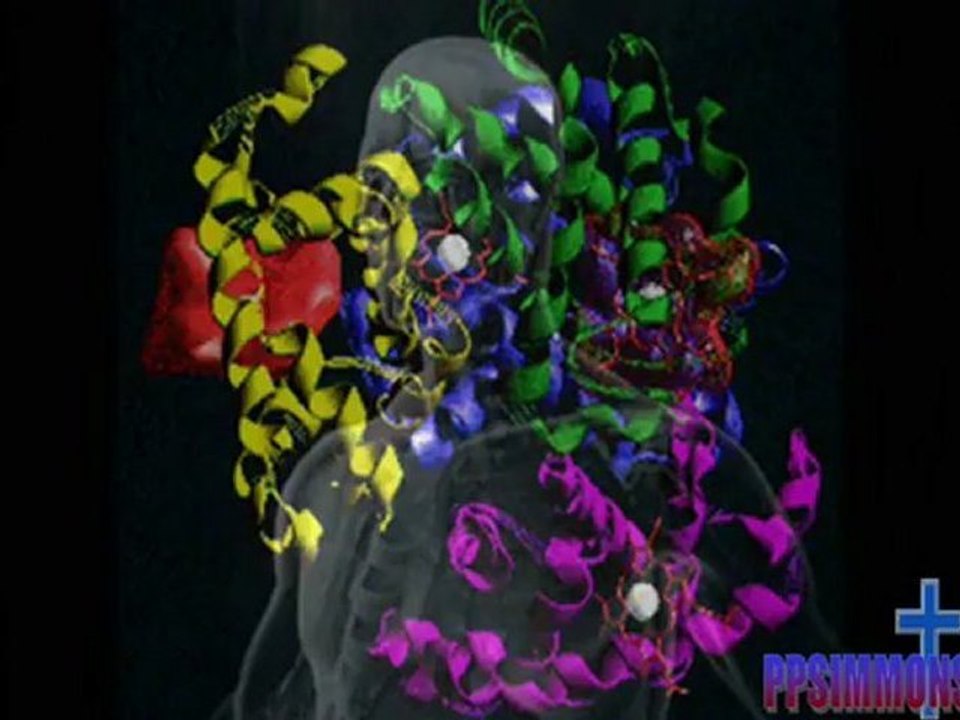 Doctors Dissect Darwinism - Carl Gallups explains