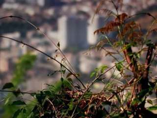 BBC: Чудеса Вселенной - звездная пыль