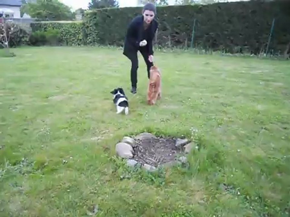Rencontre Robby et Kooper le 4 mai 2012