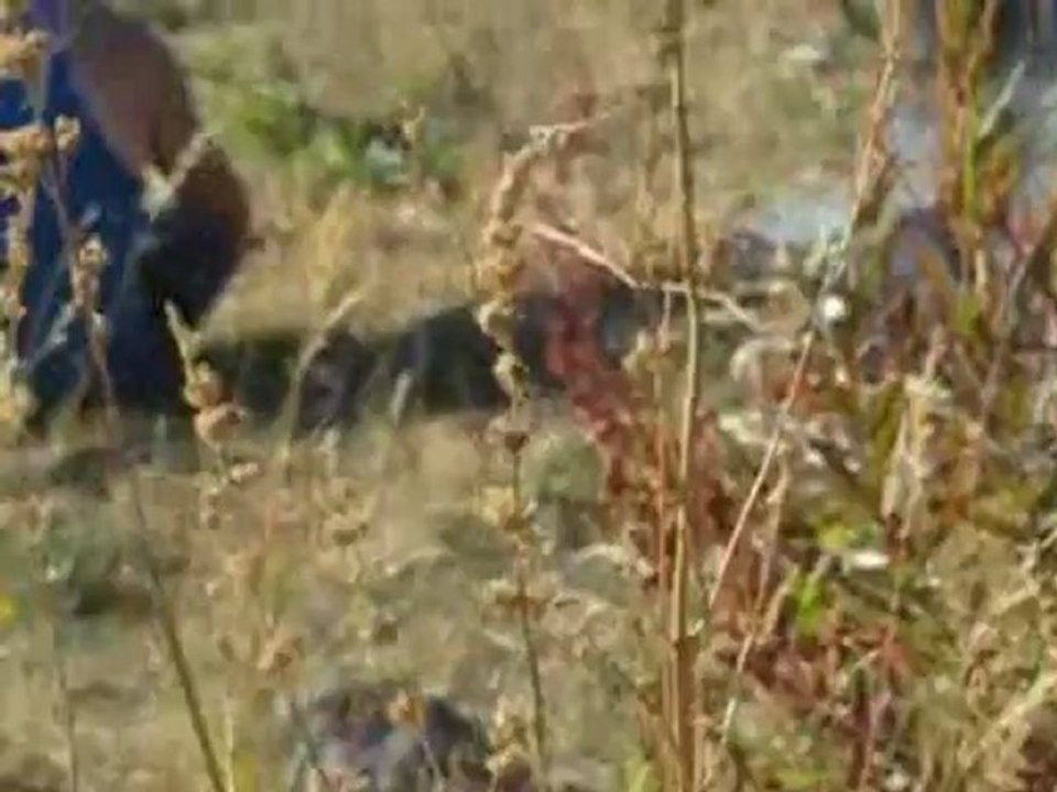 Yağlı Köyü Köyden Manzaralar-2