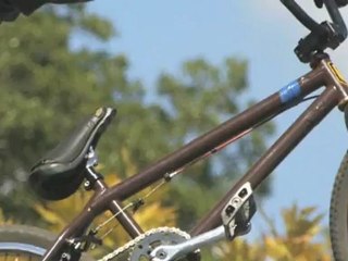 Fiets Bergschenhoek Martin vd Wel Tweewielers