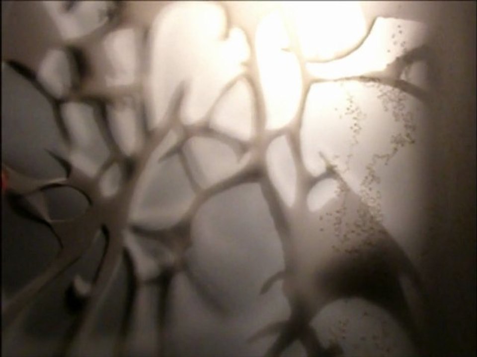 Skeleton lighting