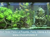 Comfort Hotel Paris La Fayette - Découvrez l'hôtel avec son directeur