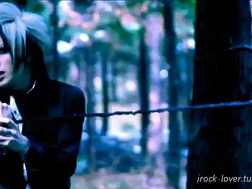 DIAURA - LOST NOVEMBER