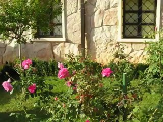 Video Medjugorje Miracles of Grace - Medjugorje WebSite