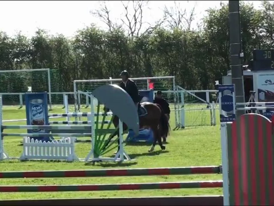 Udiam de la chenee préparatoire 4 ans Ste Mère Eglise
