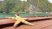 Vietnam tour - Halong bay boat trip in private junk - for small group - Minh Anh Travel