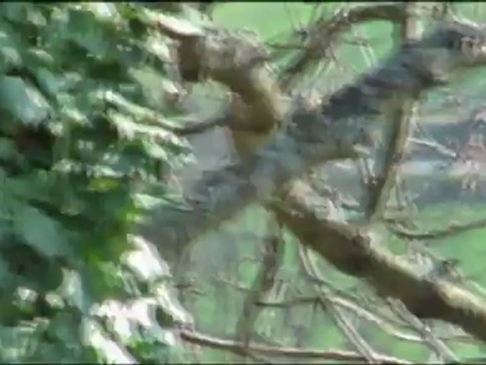 25ème Rallye du Pays du Gier 2012