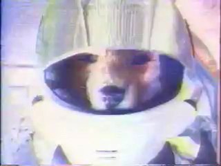 Pub - Star Fox (SNES, 1993)