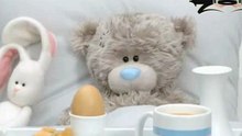 Teddy Bear (Music by DRedd Mc)