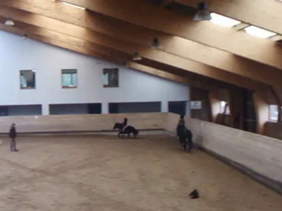 beau galop grand manège