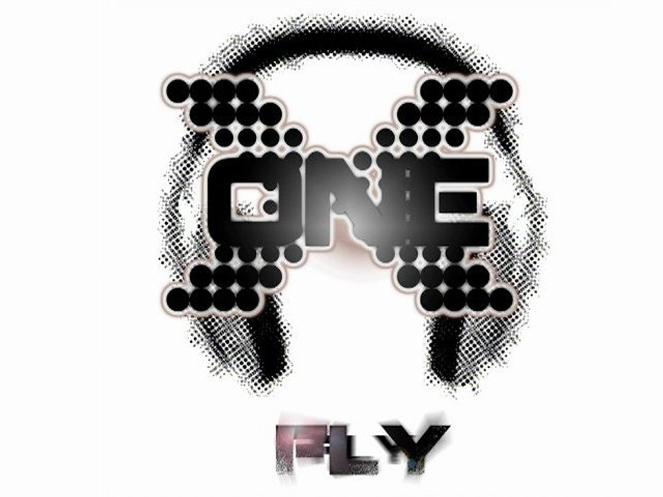 Fly