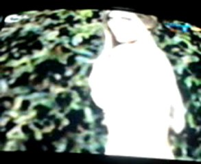 Jonas e Renata  -  TV Fama