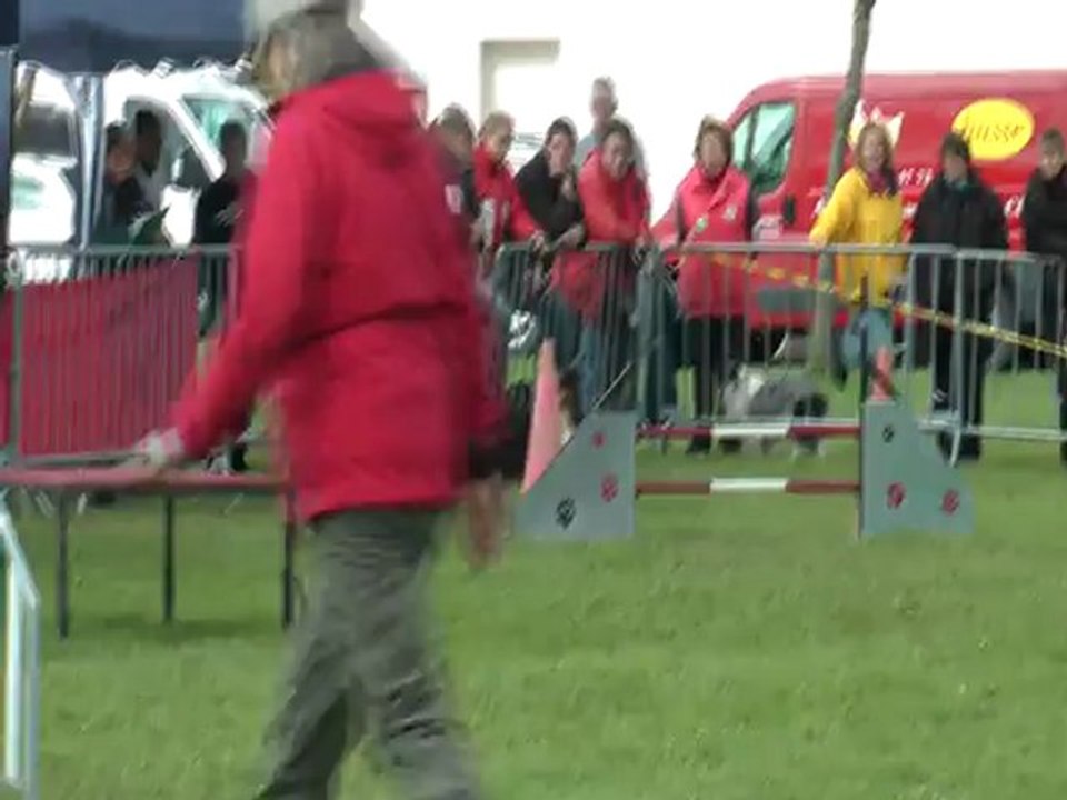 titi agility