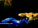 HD Stock Video - Fluid Motion 01 clip 05 - Video Backgrounds