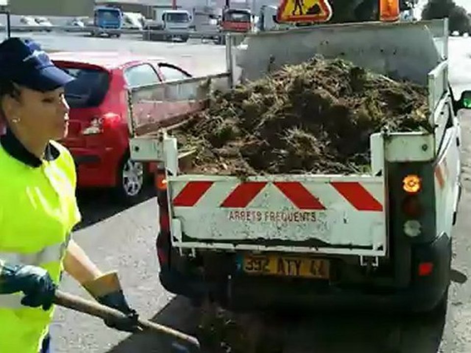 Chantier jeunes été 2011