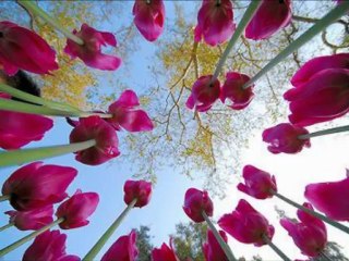 Harika Bir İlahi Azrail Can Alır