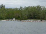 Regates Internationales d'Aviron de Libourne 2012 sur NaviguerEnAquitaine.com http://naviguerenaquitaine.com v3