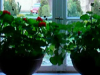 AHMET KAYA  KARANLIKTA www.avizelife.com/2012-avize-modelleri