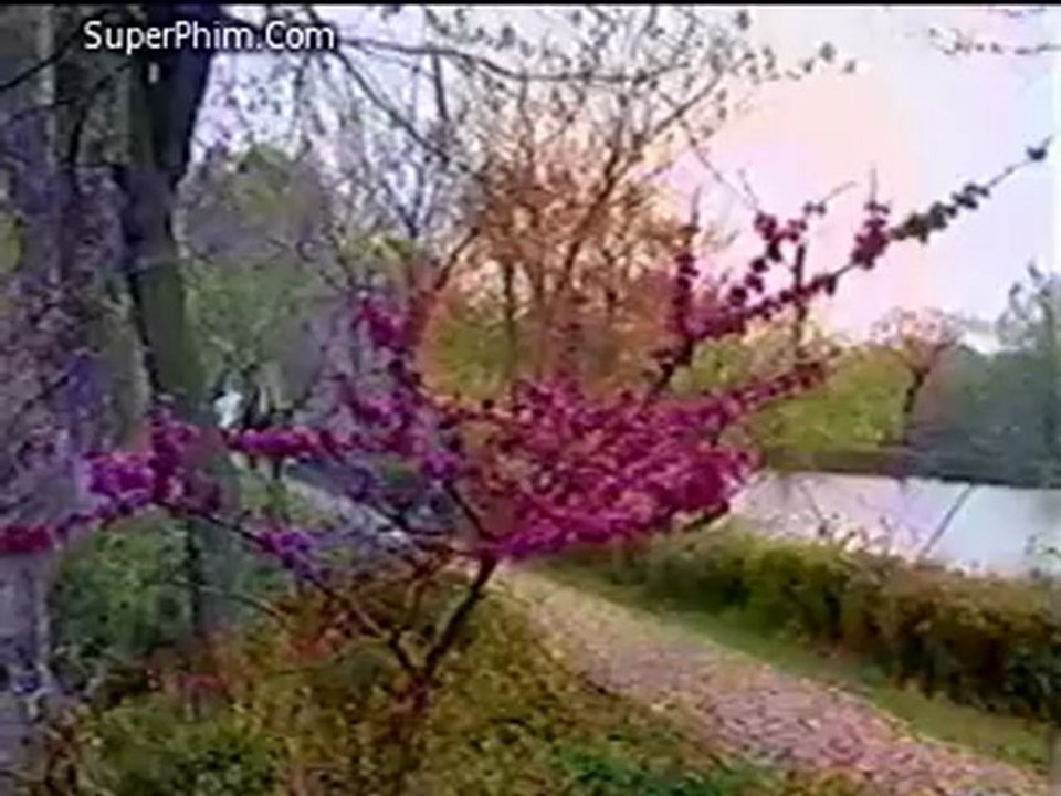 dkls_13.mpg_3