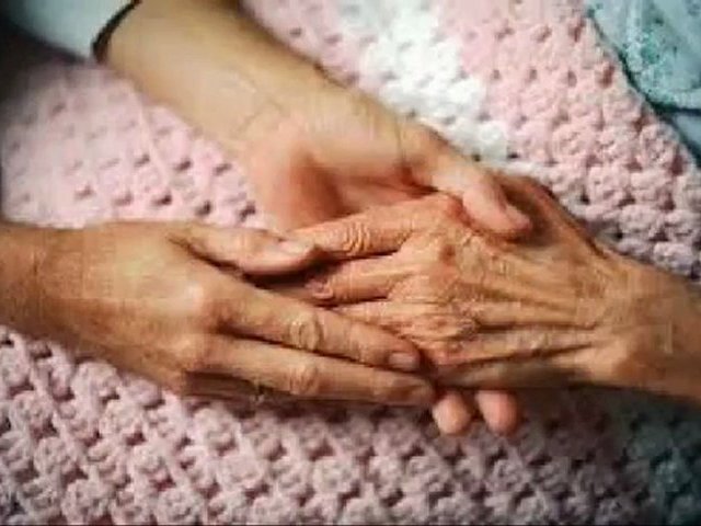 nursing homes - nursing homes for seniors