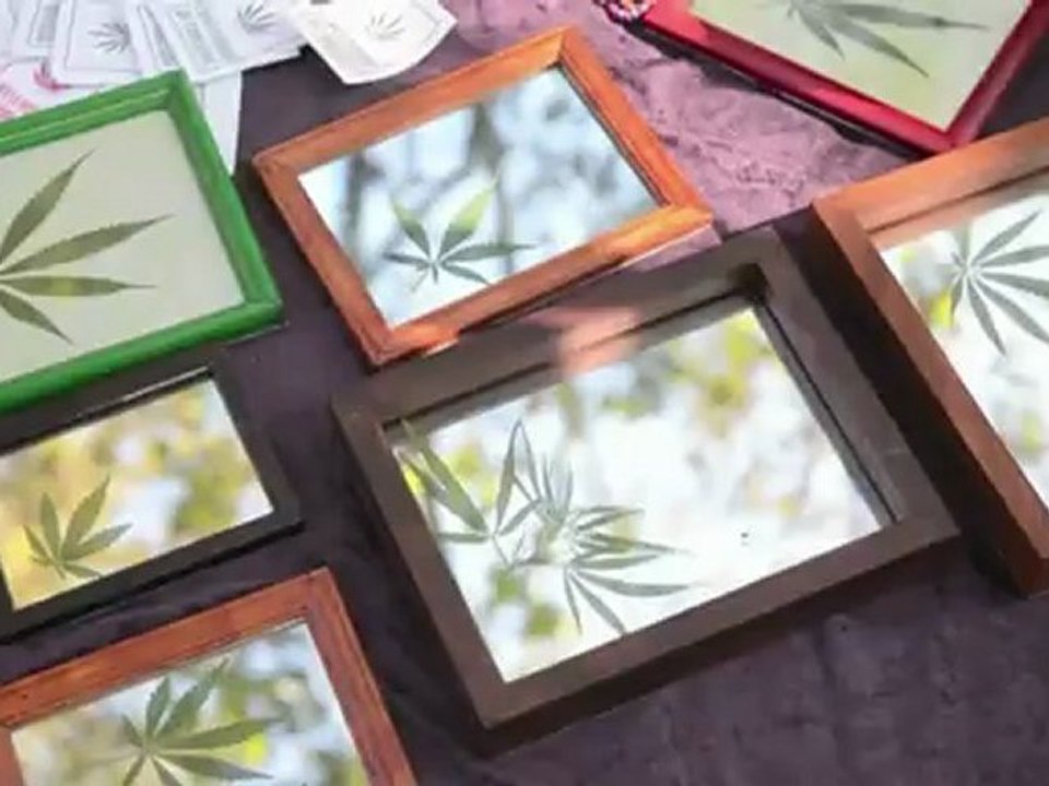 Marcha pela maconha