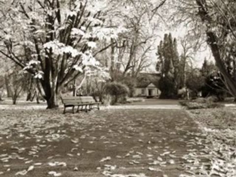 Chopin - Etude in E Flat minor, Op. 10, No. 6_ Arr. for cello and piano in D minor.