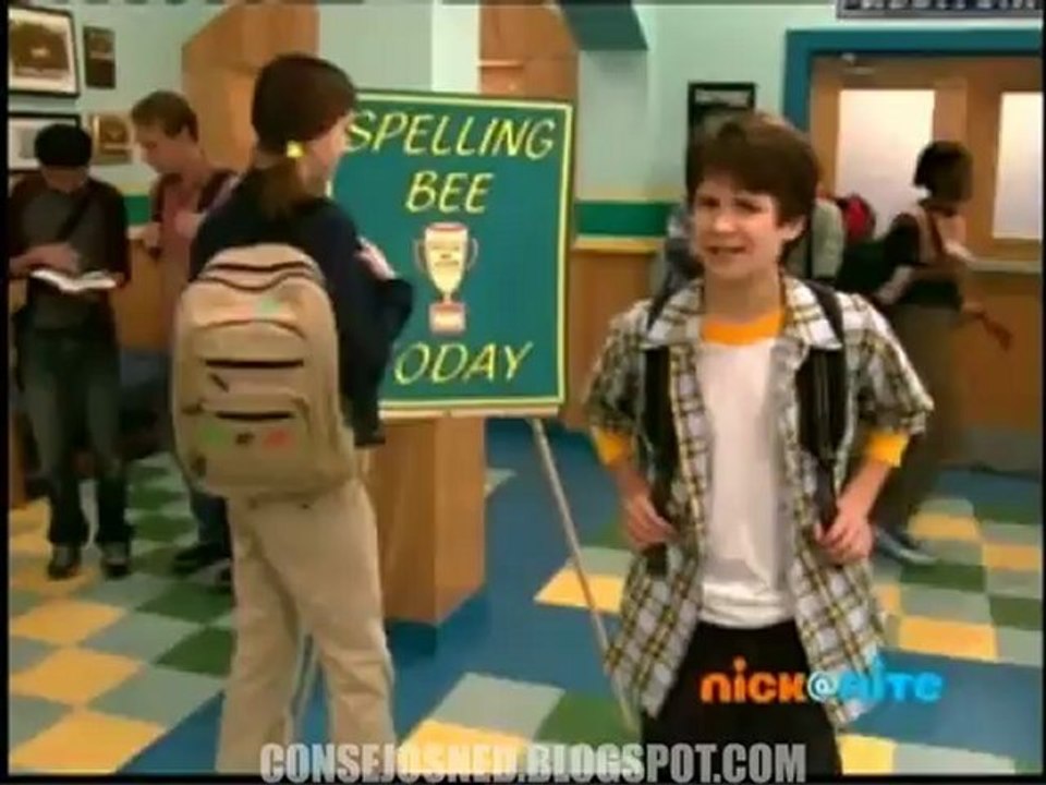 ned113
