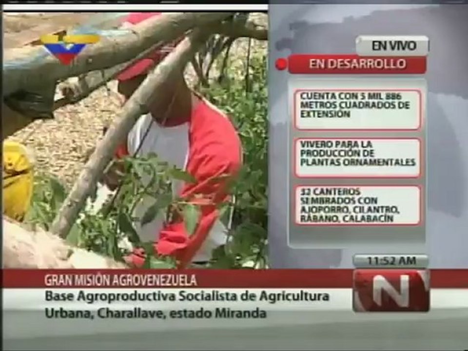 Jaua: Presidente Chávez se mantiene permanentemente en contacto con el país