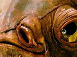 Grandes Personajes   Ackbar It's A Trap