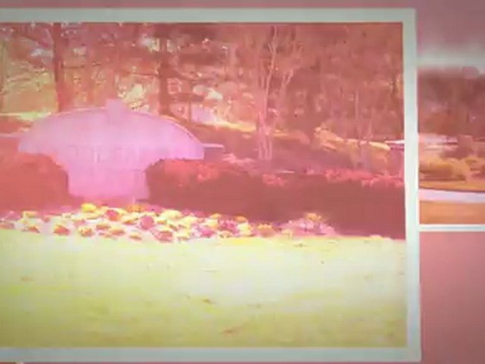 Saddlebrook Homes For Sale